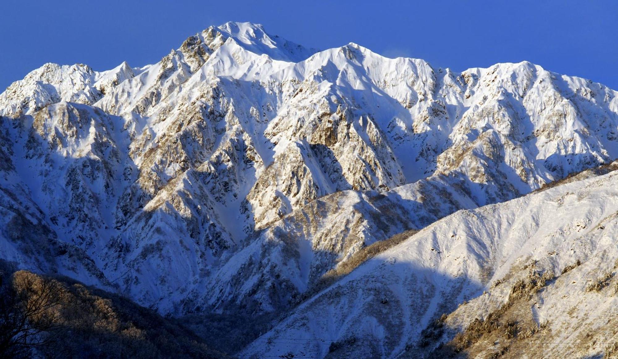 Bears Den Mountain Lodge Hakuba Exterior foto