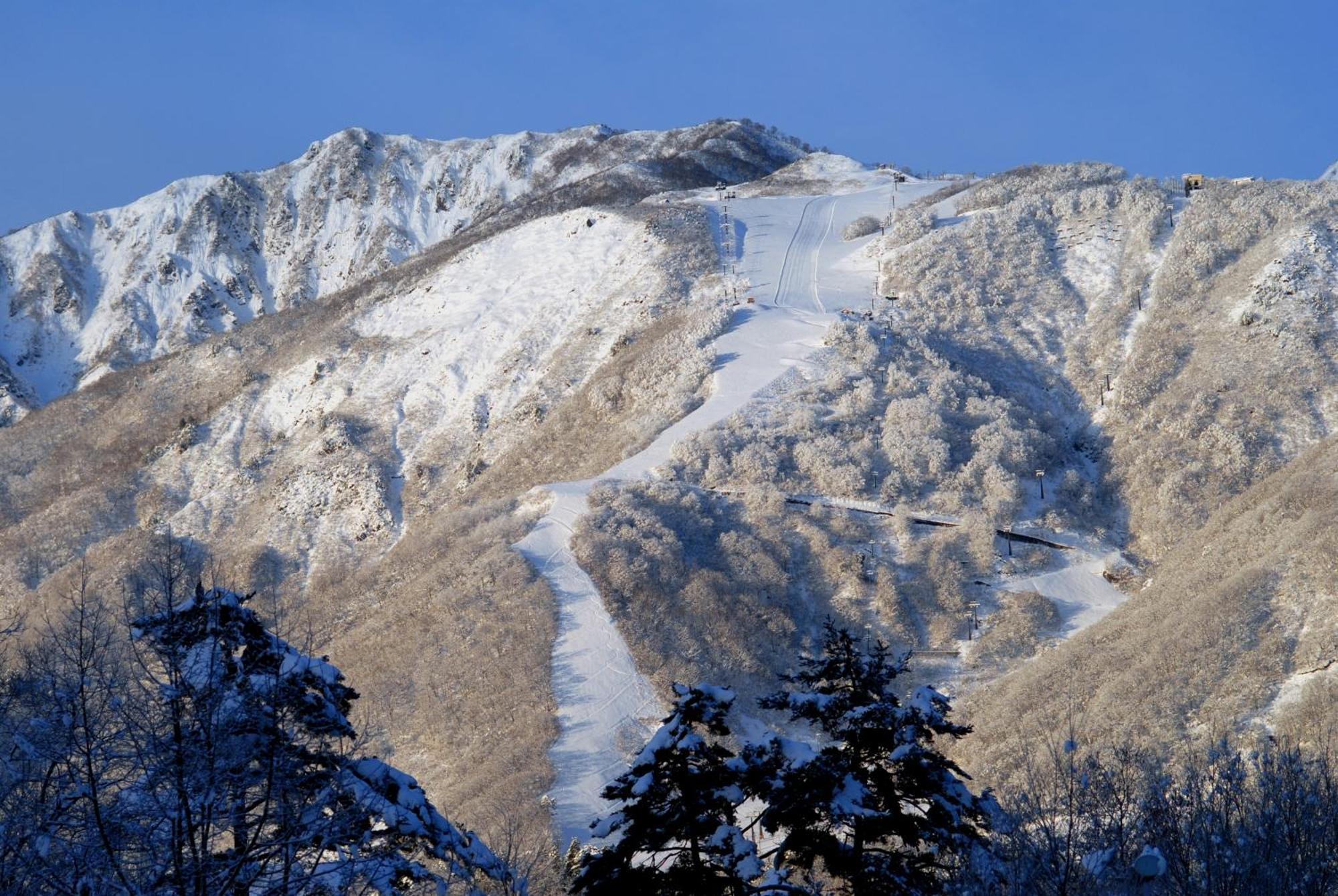 Bears Den Mountain Lodge Hakuba Exterior foto